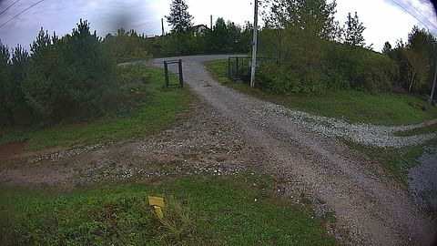 Image: Snapshot