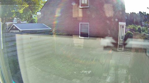 Image: Snapshot