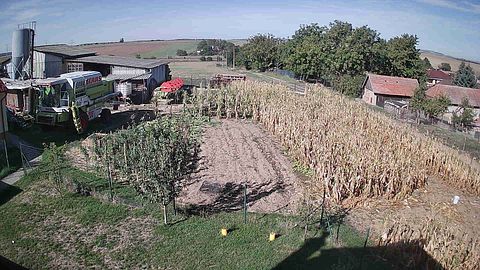 Image: live snapshot from a community camera
