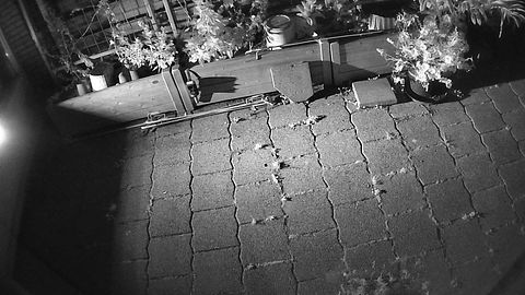 Image: live snapshot from a community camera