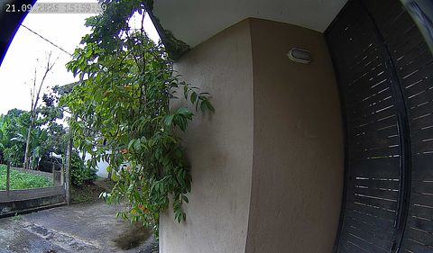 Image: live snapshot from a community camera