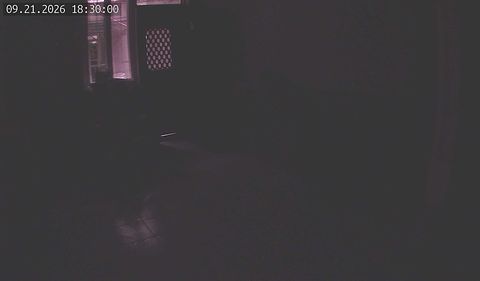 Image: live snapshot from a community camera